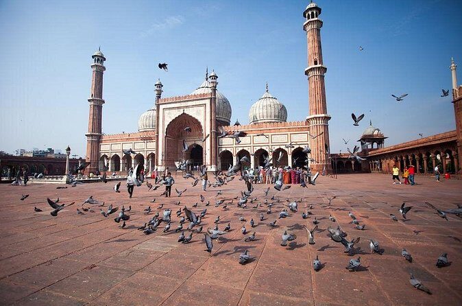 Private Old and New Delhi City Sightseeing Day Tour - FAQ