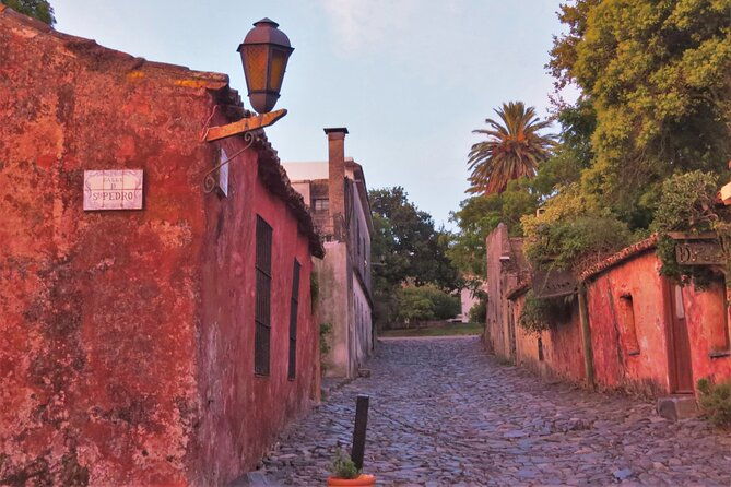 private-old-city-birdwatching