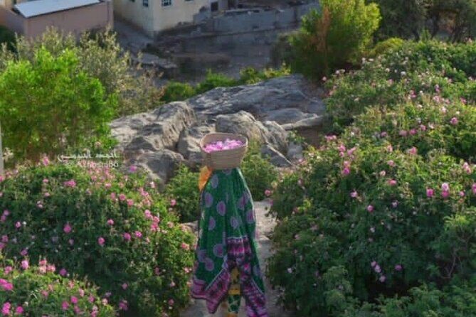 Private Oman Full Day Guided Sightseeing Tour - The Sum Up