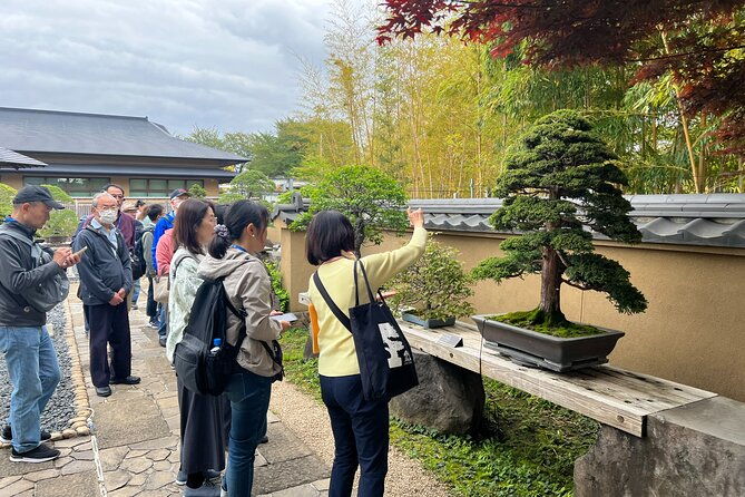 private-omiya-bonsai-village-tour-with-licensed-guide