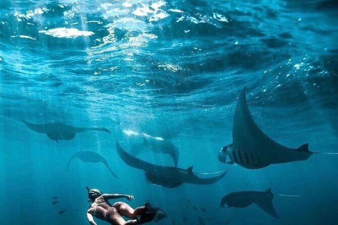 Private One Day East and West Tour with Snorkeling in Nusa Penida - Key Points: