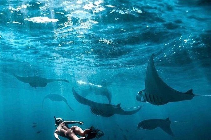 Private One Day East and West Tour with Snorkeling in Nusa Penida - Authentic Experiences and Tips from Reviews