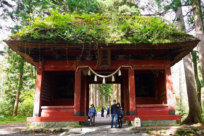 Private One-Day Everything Tour in Nagano or Matsumoto - Who Will Benefit Most?