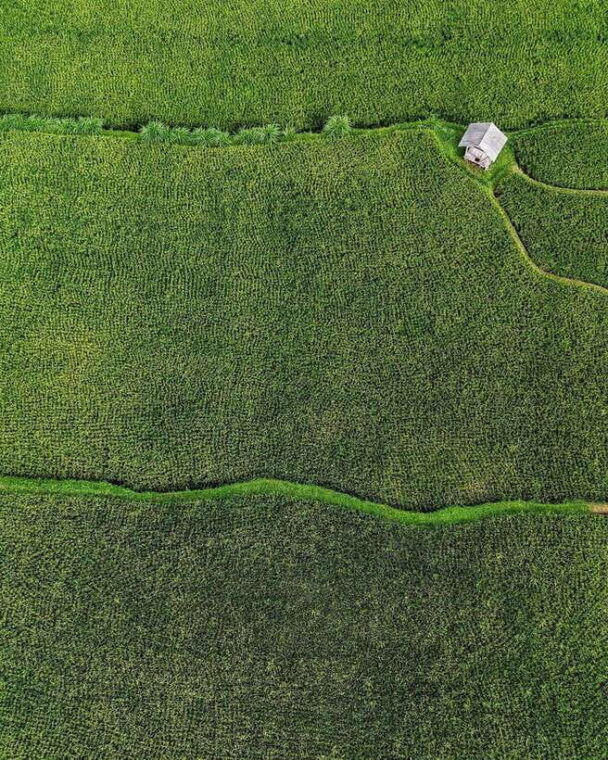 private-one-day-tour-authentic-tete-batu-sukarara-village