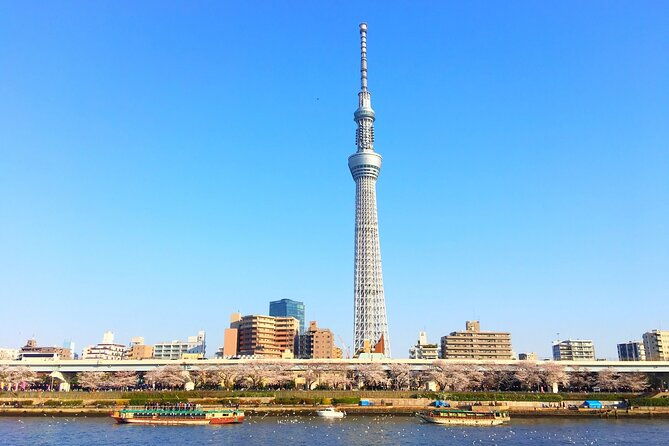 private-one-day-tour-in-tokyo-with-limousine-and-driver
