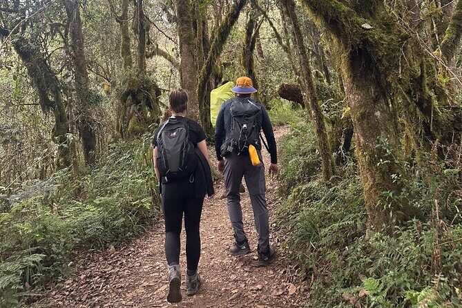 Private One-Day Trek to Mount Kilimanjaro - Exploring the Private One-Day Trek to Mount Kilimanjaro