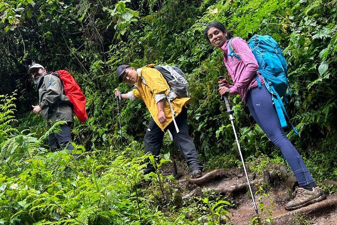 Private One-Day Trek to Mount Kilimanjaro - What to Expect on the Kilimanjaro One-Day Trek
