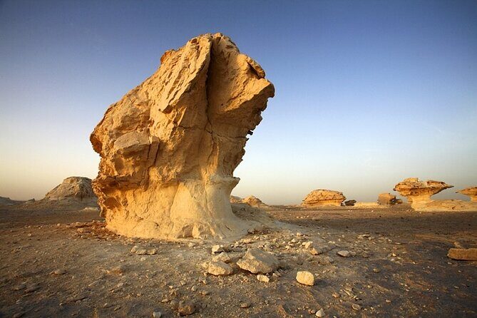 Private ONE Night Camping in White and Black Desert from Cairo - The Sum Up