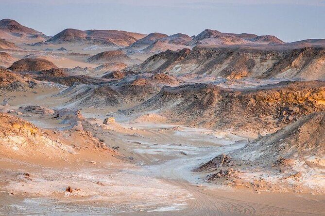 Private ONE Night Camping in White and Black Desert from Cairo - FAQs