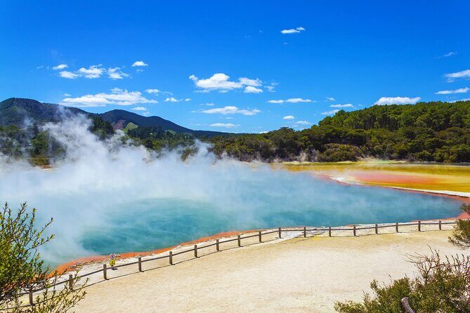 Private One-Way Transfer: Auckland Airport to Hamilton/Rotorua - FAQ