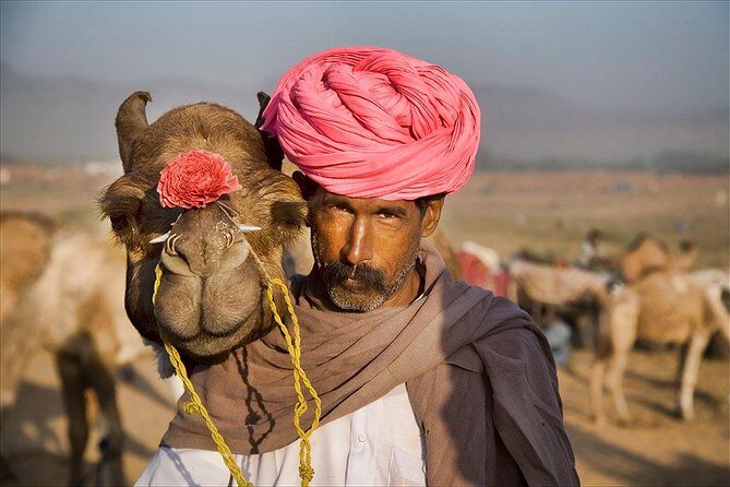 Private One Way Transfer From Pushkar To Jaipur In AC Vehicle - Introduction