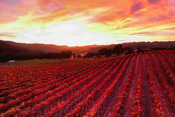 Private or Semi-Private Wine Tasting Tour from Paso Robles - Who Is This Tour Best For?