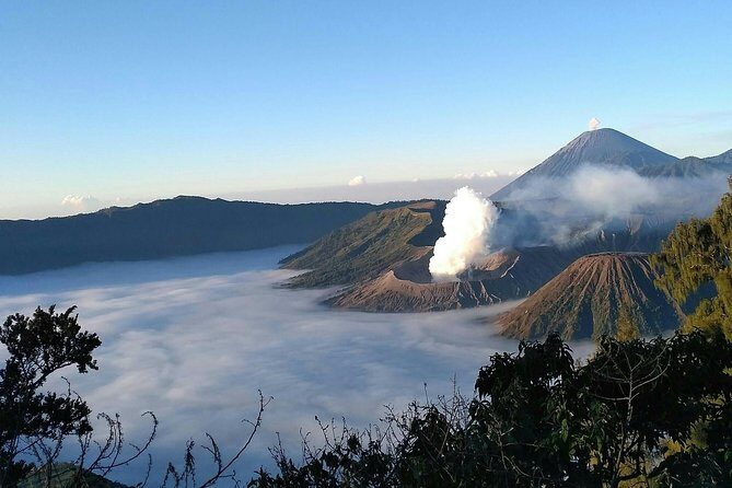 Private or Shared Epic Sunrise Bromo Volcano Tour - From Malang - Key Points