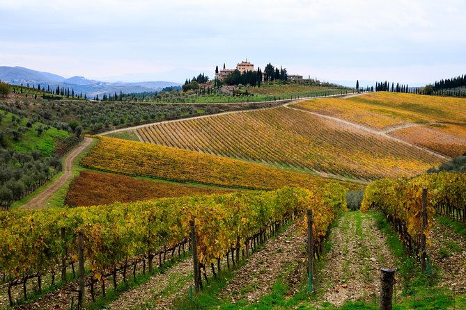 private-orvieto-and-tuscany-wine-tour-from-rome