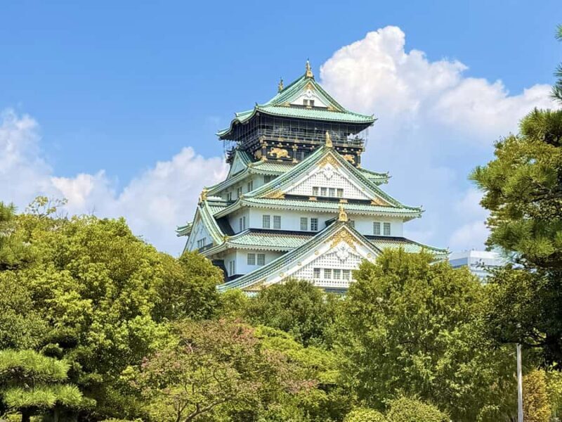 Private Osaka Castle and Hokoku Shrine with Local Guide - An In-Depth Look at the Osaka Castle and Hokoku Shrine Tour