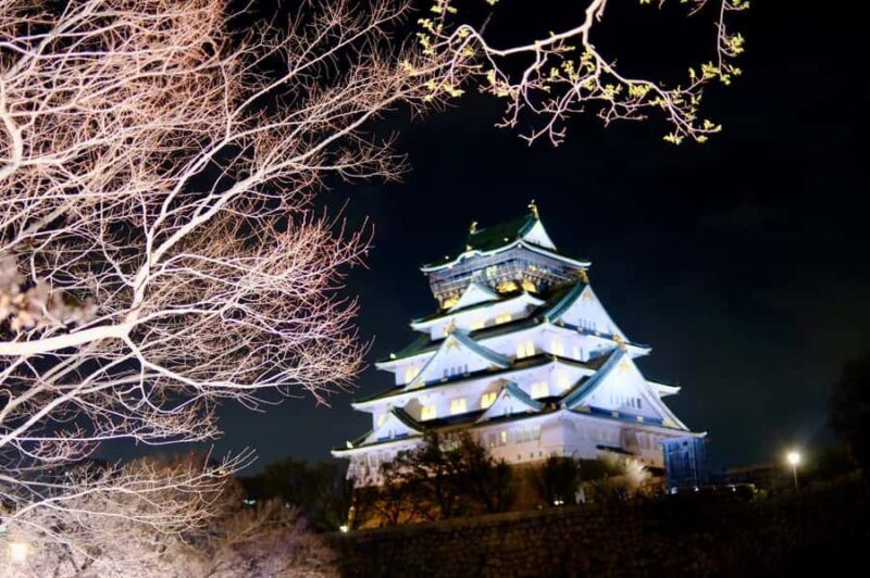 Private Osaka Nara & Katsuo-ji Temple Minoh Tour With Guide - The Sum Up: Is It Worth It?