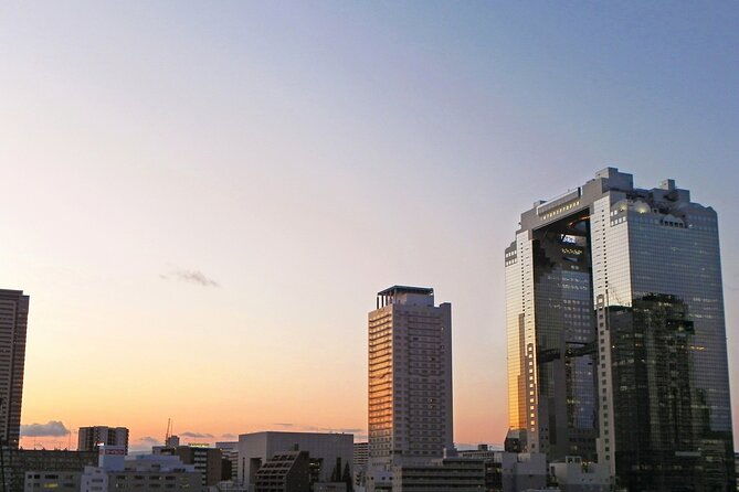 private-osaka-tour-from-kyoto-with-guide-by-public-transportation