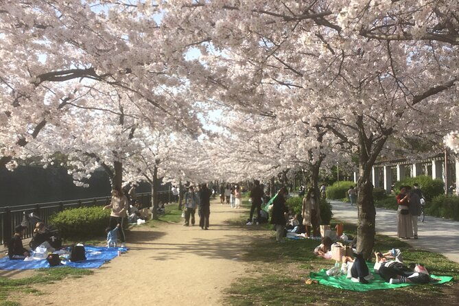 private-osaka-tour-with-hotel-pick-up