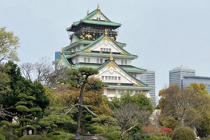 private-osaka-tour-with-hotel-pick-up