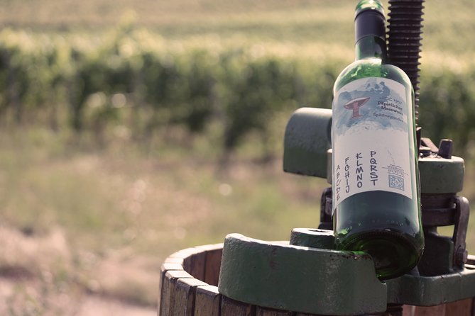 private-outdoor-escape-game-tuniberg-eduardo-the-wine-secret