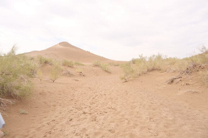 Private Outdoor Travel to Explore Kazakhstan - What Makes This Tour Stand Out?