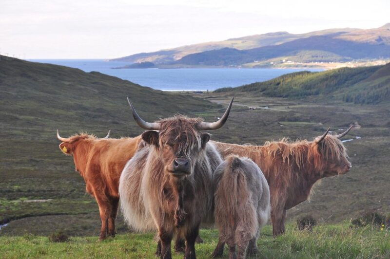 private-outlander-tour-for-small-groups