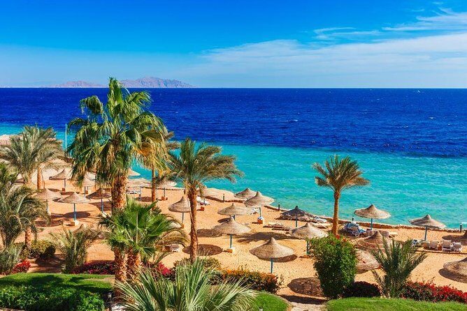 private over day tour From Luxor to Hurghada - An In-Depth Look at the Hurghada Day Trip