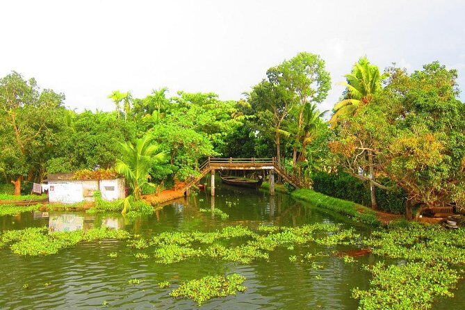 Private Overnight Backwaters Houseboat Cruise in Alleppey - Key Points