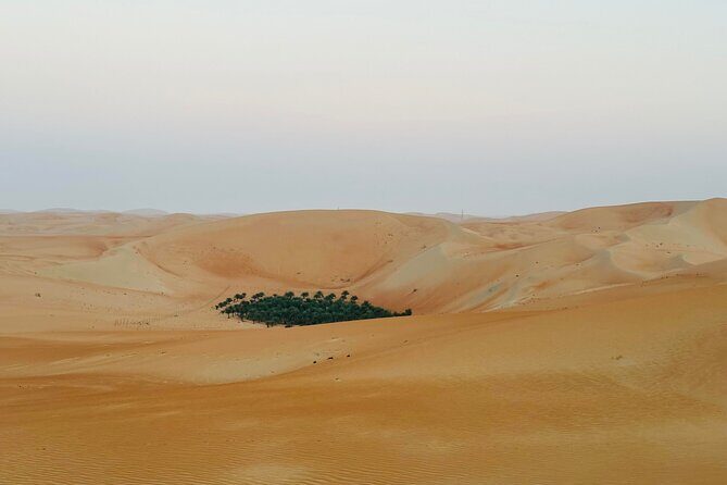 Private Overnight Camping in Liwa with BBQ Dinner & Breakfast - Final Thoughts