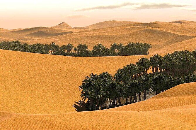 Private Overnight camping to Wahiba Sands Desert - Final Thoughts