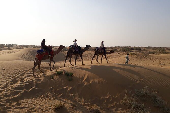 Private Overnight Safari Tour with Camel Ride - Key Points
