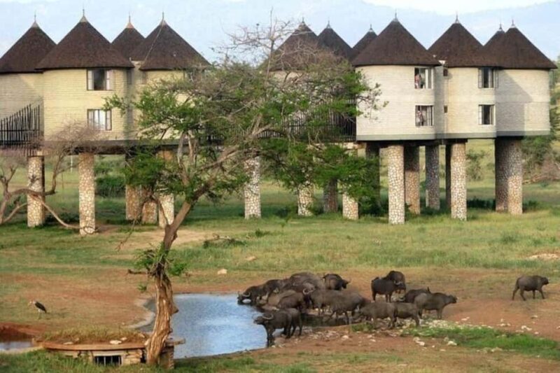 PRIVATE OVERNIGHT SALTLICK SAFARI FROM MOMBASA OR DIANI - Introduction
