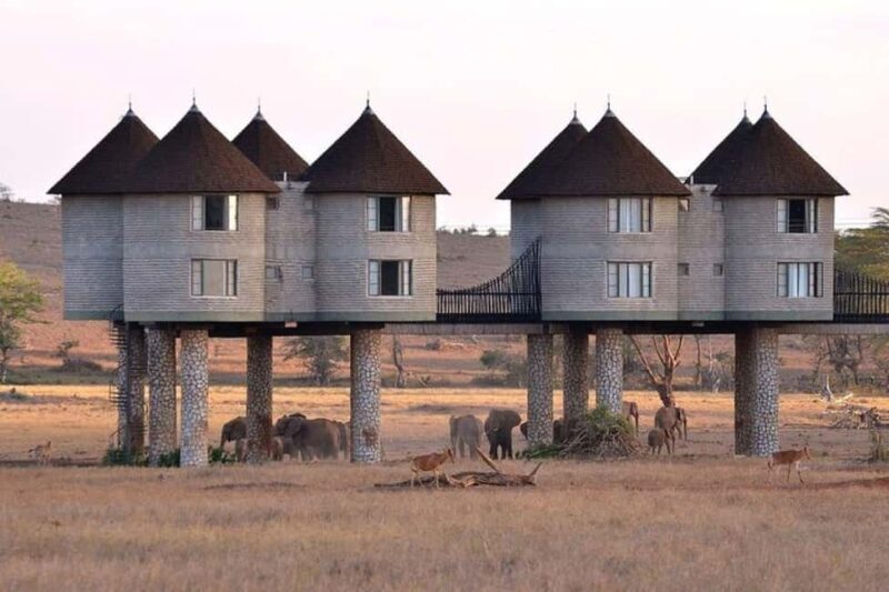 PRIVATE OVERNIGHT SALTLICK SAFARI FROM MOMBASA OR DIANI - Key Points