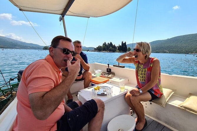private-oyster-and-wine-tasting-day-trip-along-peljesac