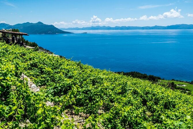 private-oyster-wine-tasting-in-croatia