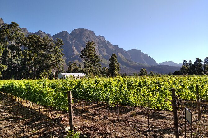 Private Package to Finest Vineyards - Stellenbosch pickup - Final Thoughts