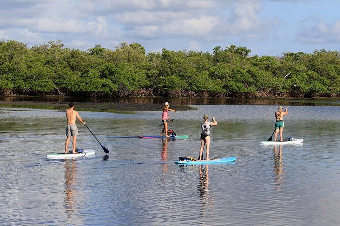 private-paddle-board-and-yacht-adventure