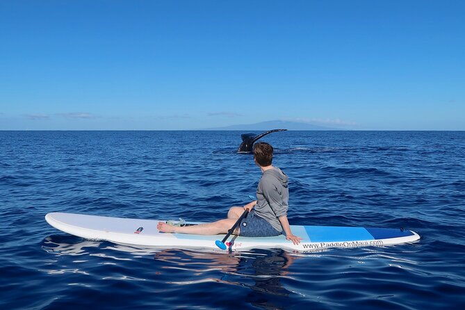 private-paddleboard-sup-whale-watch-all-skill-levels-welcome