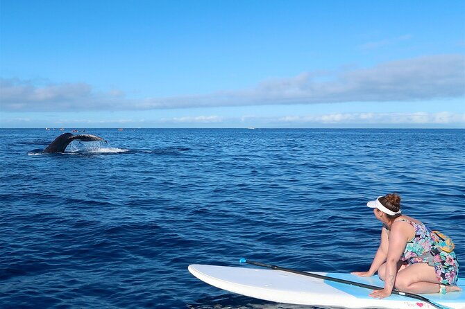 private-paddleboard-sup-whale-watch-all-skill-levels-welcome