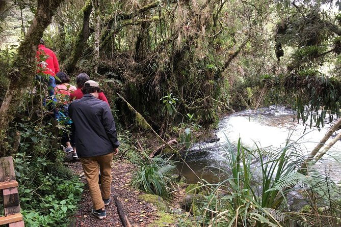 private-papallacta-volcanic-hot-springs-day-tour