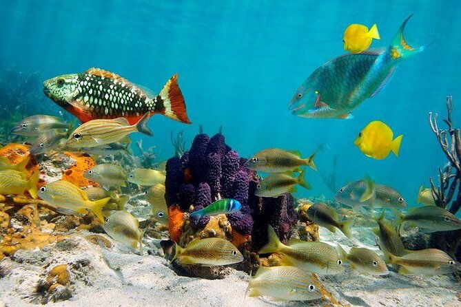 private-party-boat-with-snorkeling-in-playa-bibijagua