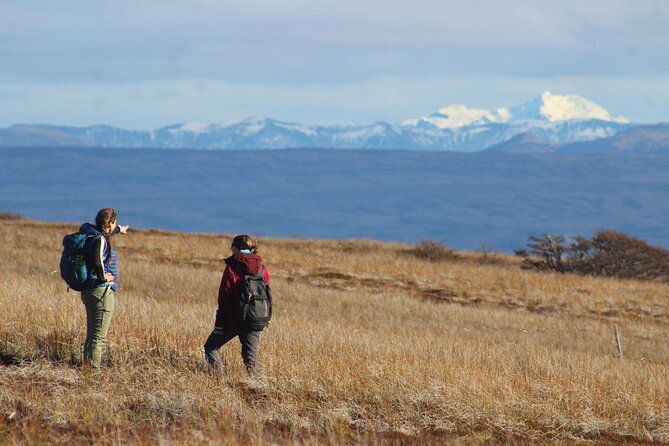 private-patagonian-forest-hike-in-punta-arenas-6-hour