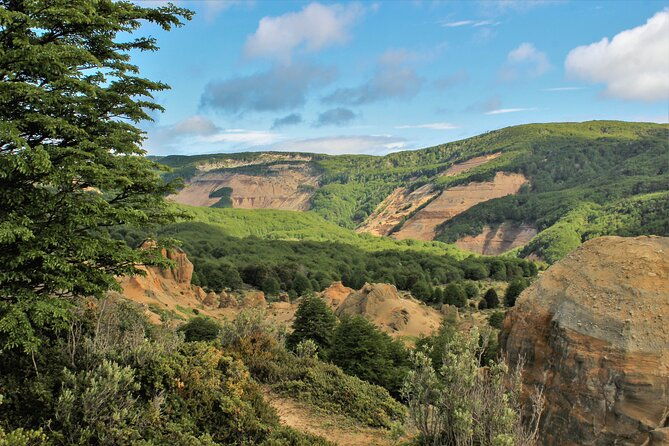 private-patagonian-forest-hike-in-punta-arenas-8-hour