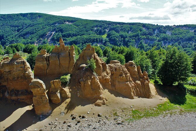 private-patagonian-forest-hike-in-punta-arenas-8-hour