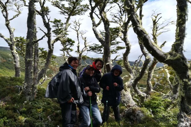 private-patagonian-forest-hike-in-punta-arenas-8-hour