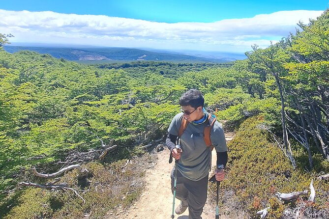 private-patagonian-forest-hike-in-punta-arenas-8-hour