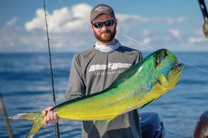 Private Patch Reef Fishing - Private Patch Reef Fishing in Key West: An Honest Look