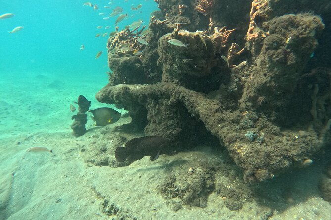 private-peanut-island-boat-snorkel-tour