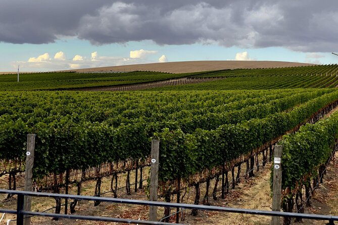 private-personal-winery-tours-in-walla-walla