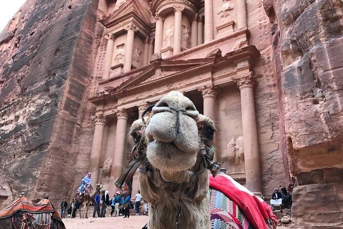Private Petra Full-Day Trip from Aqaba City - The Sum Up